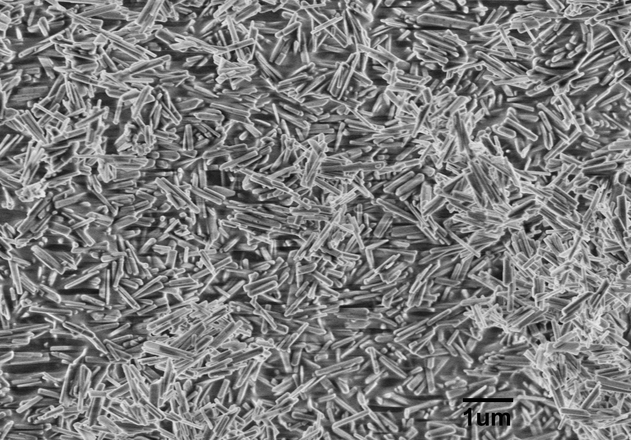 進(jìn)口羥基磷灰石納米線Hydroxylapatite Nanowires A100